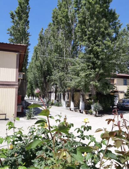 Гостиница, 1500 м²