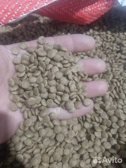 Корм для кошек и собак