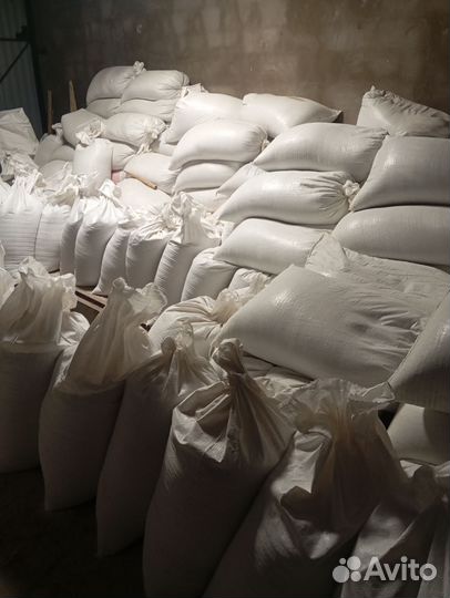 Пшеница ячмень