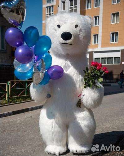 Мишка умка и Мишка Тедди