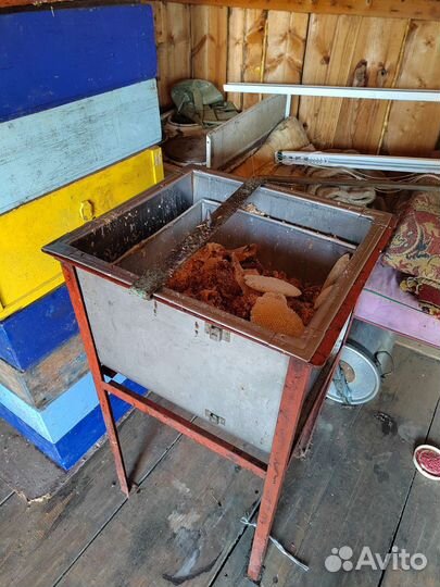 Продажа пчел и ульи