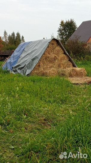 Продажа сена в тюках