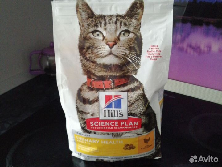 Корм для котов