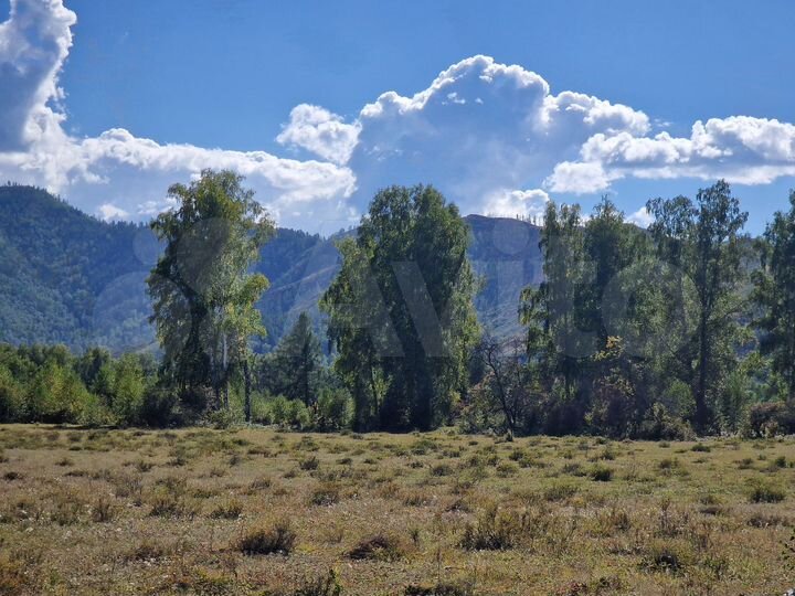 Участок 10 сот. (СНТ, ДНП)