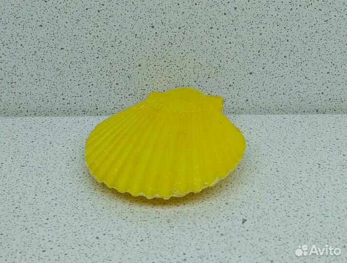 Гребешок жёлтый 5*4,6 морская ракушка раковина