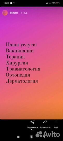 Ветеринарный врач