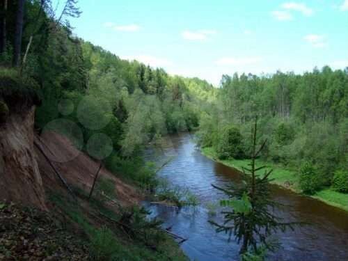 Участок 9,6 га (СНТ, ДНП)