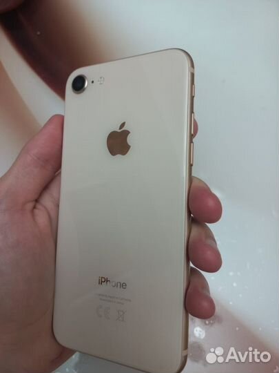 iPhone 8 64