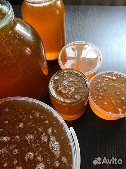 Мед липа 2023