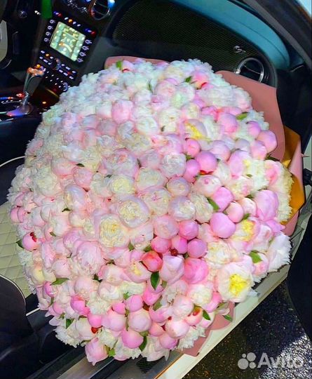 Пионы премиум