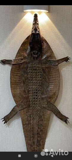 Шкура крокодила