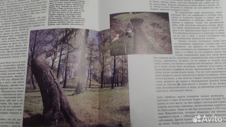 Энциклопедия 