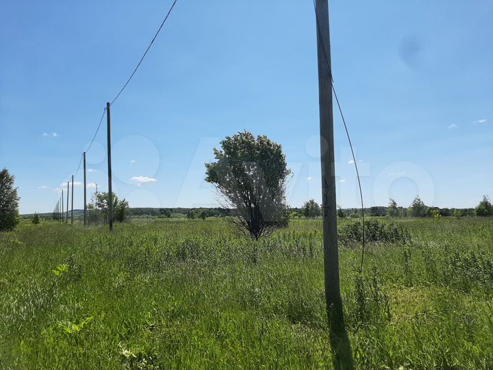 Участок 10 сот. (ИЖС)