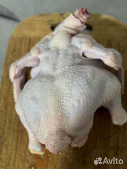 Куры домашние на мясо