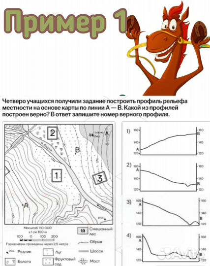 Репетитор по географии ОГЭ