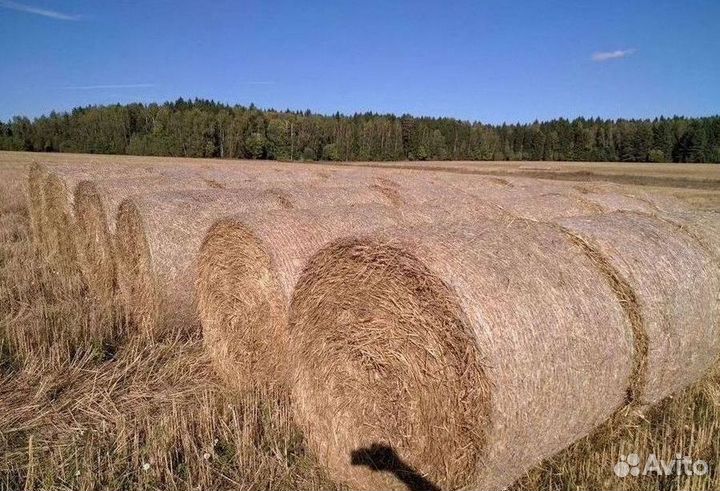 Сетка для сенажа