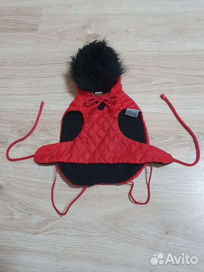 Одежда для маленьких собак и пеленки