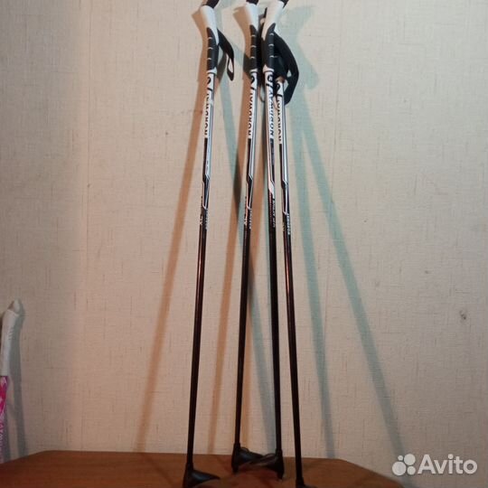Лыжные палки
