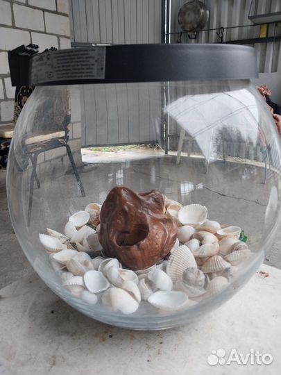 Аквариум