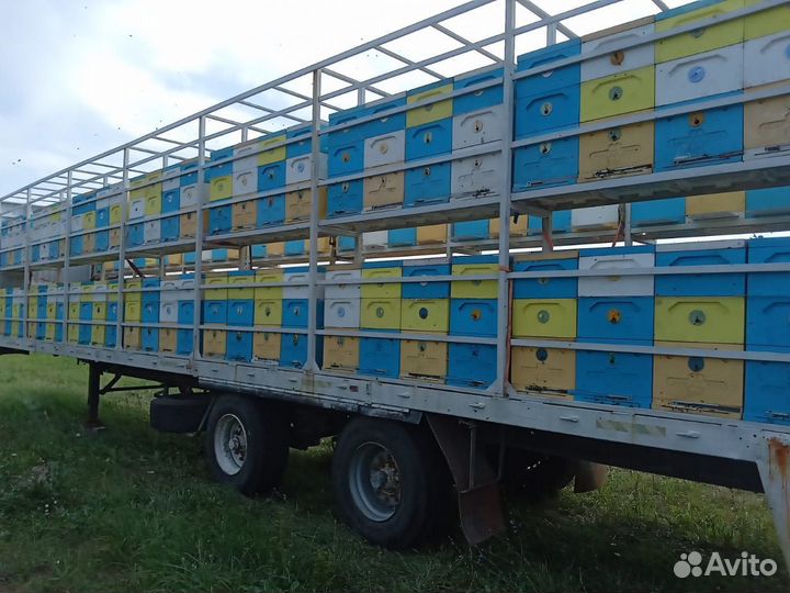 Пчелоприцеп, пчелопавильон