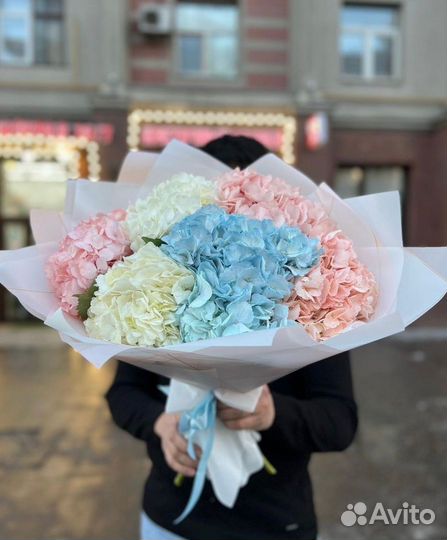 Гортензии с бесплатной доставкой