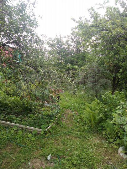 Дача 20 м² на участке 9,2 сот.