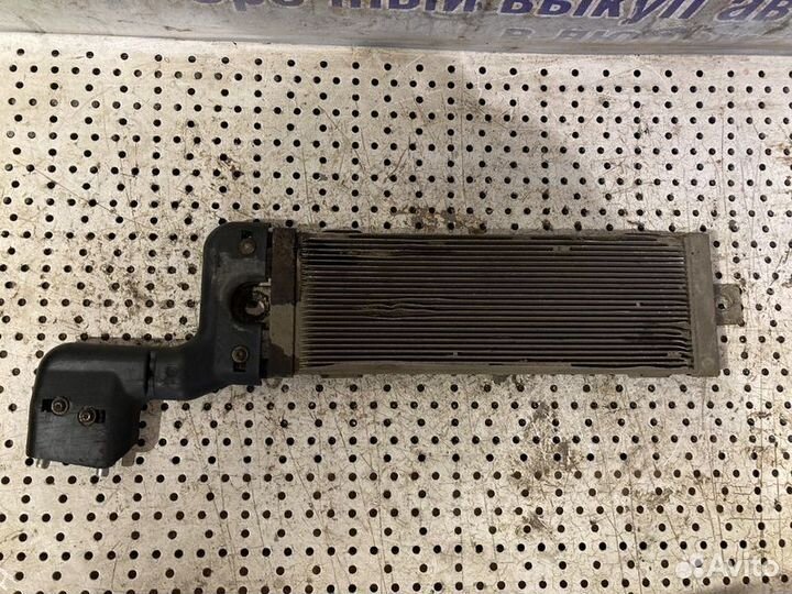 Радиатор масляный Volkswagen Golf
