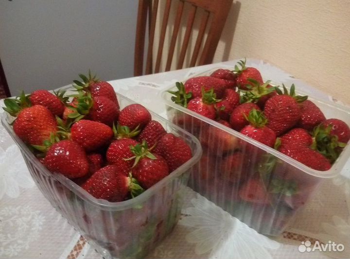 Продам рассаду клубники Хоней