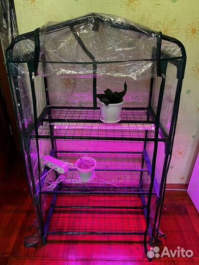 Парник для рассады