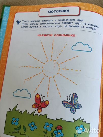 Жукова Годовой курс 2-3 года