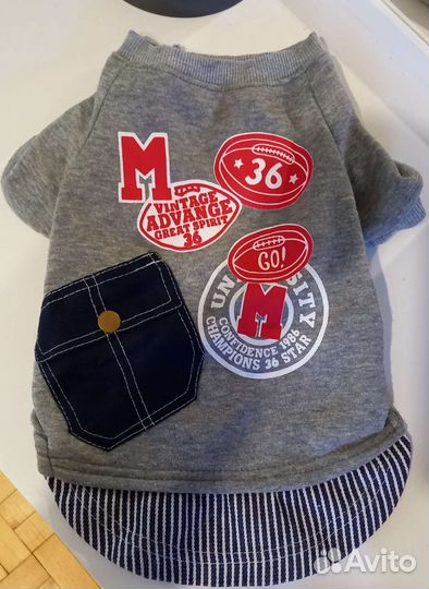 Одежда для маленьких собак