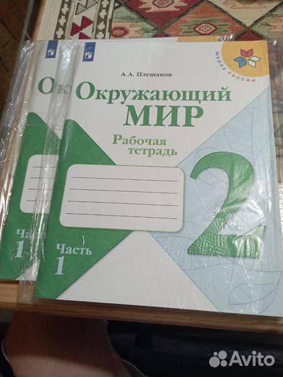 Окружающий мир 2 класс рабочая тетрадь