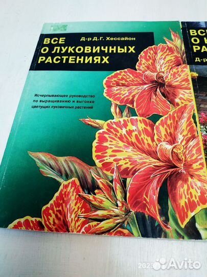 Хессайон, всё о клумбовых растениях