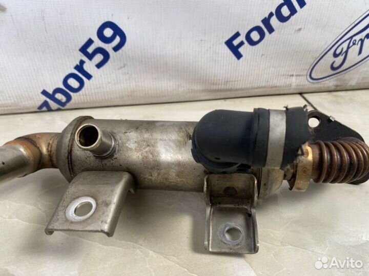 Радиатор системы EGR Ford Focus 2 CB4 1.8 (kkda)