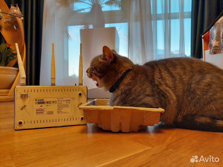 Роутер D-Link DIR-855