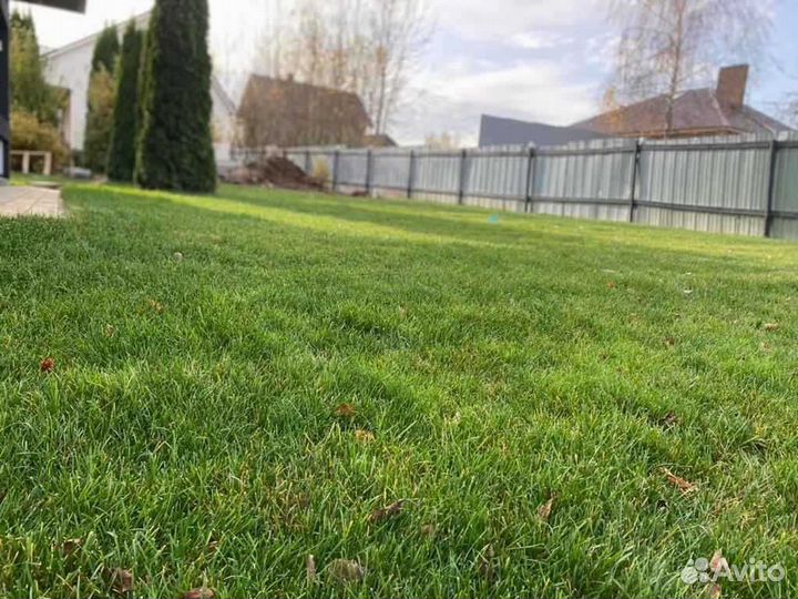 Укладка и продажа газона