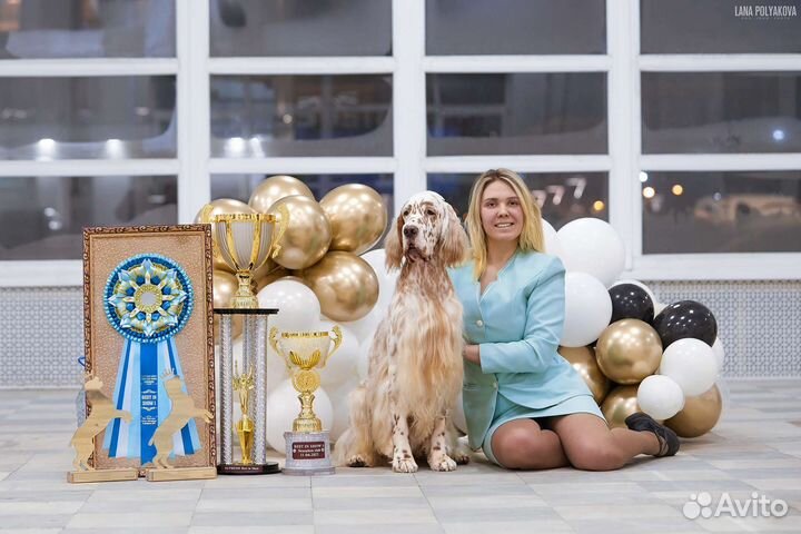 Услуги Хендлера