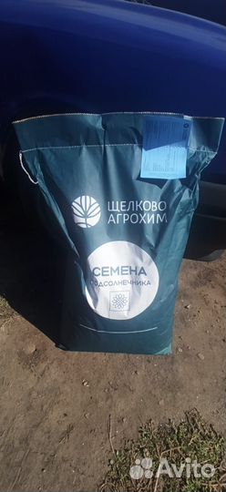 Семена подсолнечника 