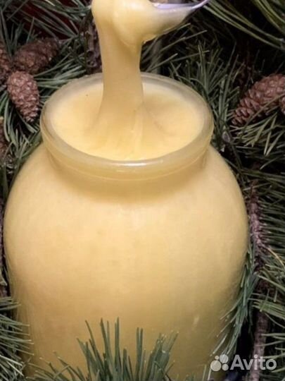 Мед 3 литра с личной пасеки