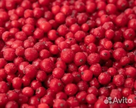 Малина замороженная