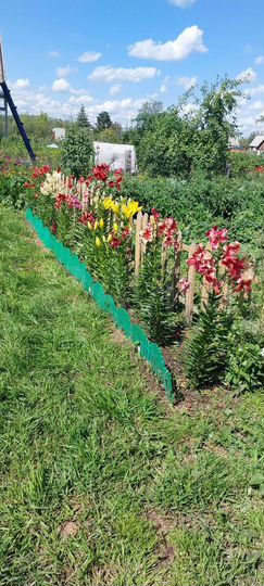 Дача 40 м² на участке 5 сот.