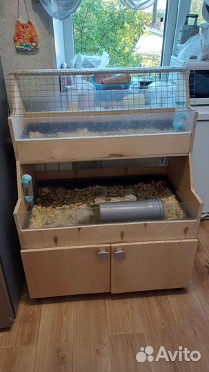 Стеллаж для морских свинок