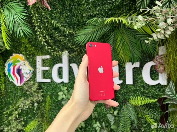iPhone SE (2020), 64 ГБ