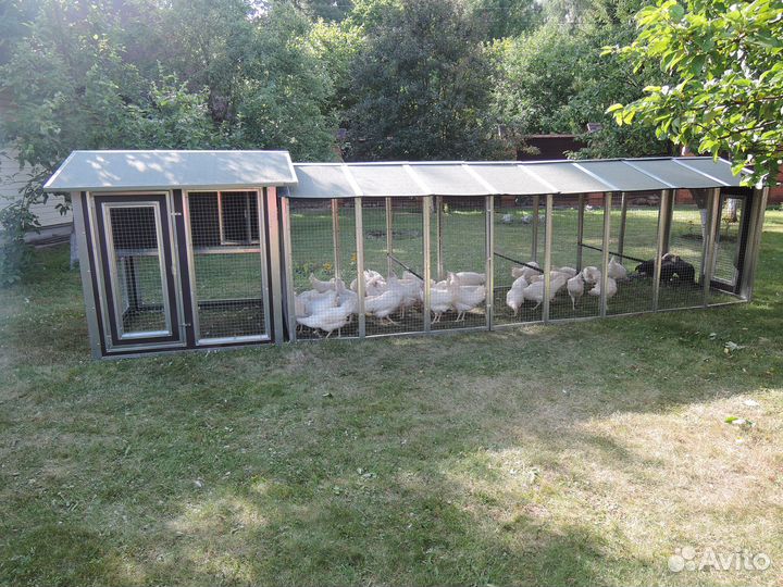 Выгул-клетка для птицы