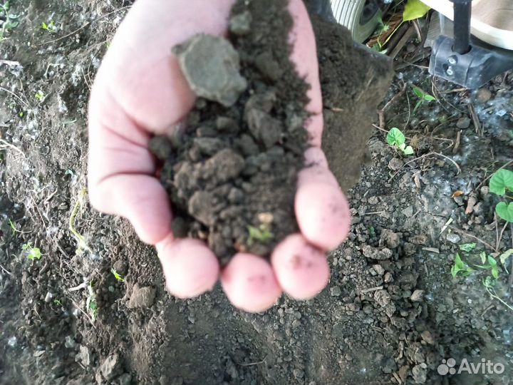 Рассыпчатый чернозем Навоз крс,газель,ЗИЛ 5т,камаз