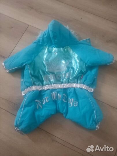 Костюм для собаки