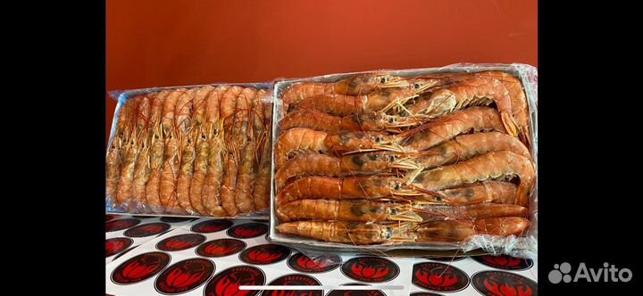 Аргентинская креветка (Лангустины)