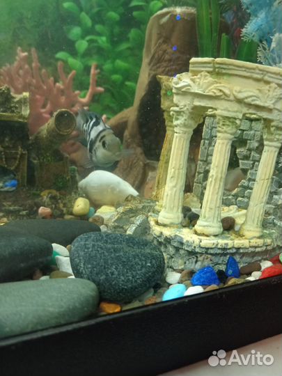 Украшение для аквариума