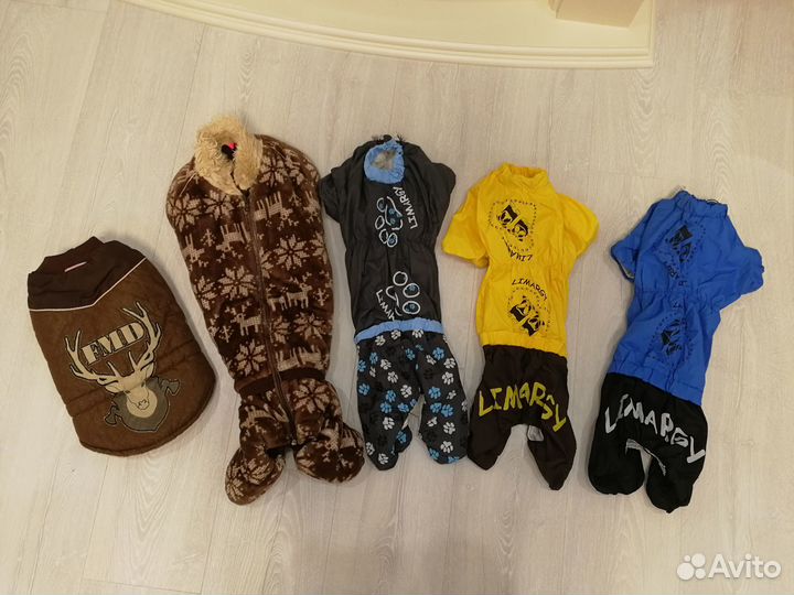 Одежда для такс и собак средних пород