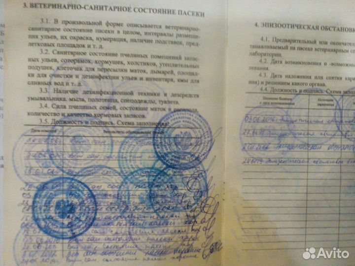 Доставка мёда. Продаю мёд с личной пасеки